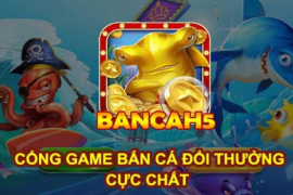 Bancah5 - Đánh Giá Trải Nghiệm Game Cá Cược Hàng Đầu